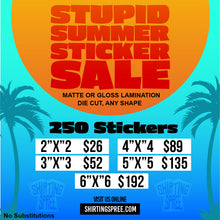 Load image into Gallery viewer, Stupid Summer Sticker Sale 250 Pieces
