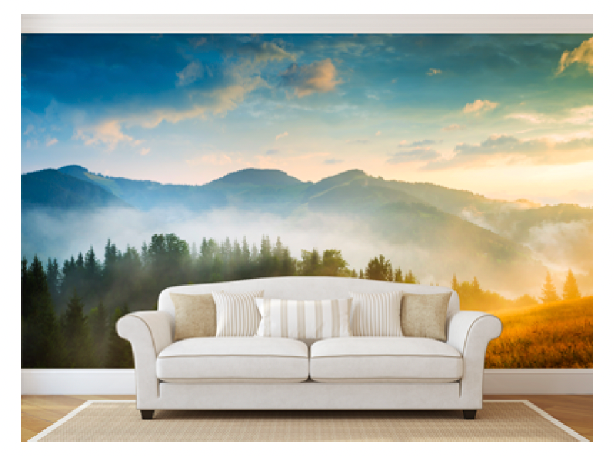 Wall Graphic Vinyl $4.30 a square foot